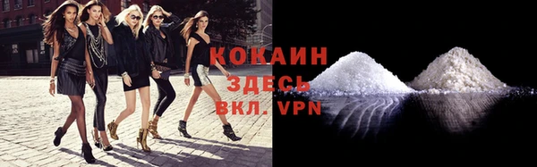 дживик Верея