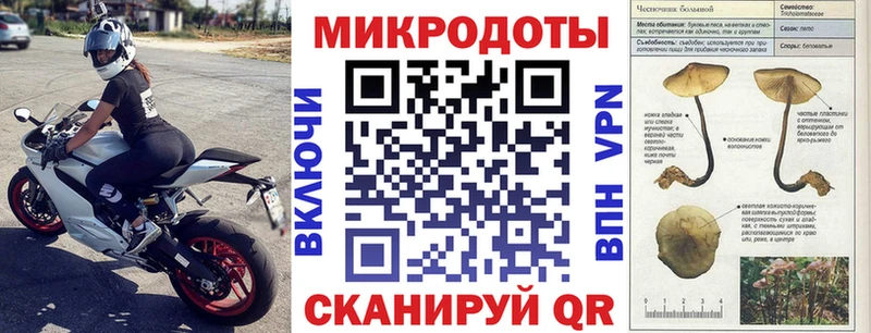 Галлюциногенные грибы Cubensis  Иннополис 